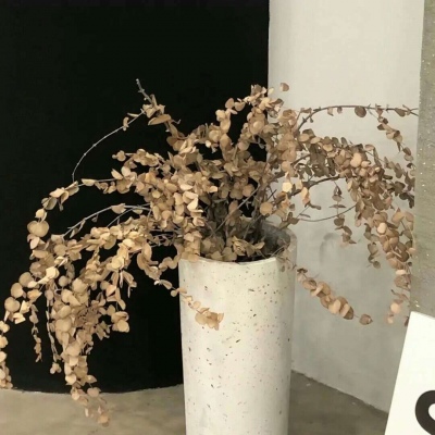 民勤FurryQQ群介绍